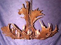 Large Fallow Deer Antler Chandelier